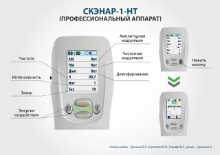 СКЭНАР-1-НТ (исполнение 01)  в Бузулуке купить Медицинский интернет магазин - denaskardio.ru 